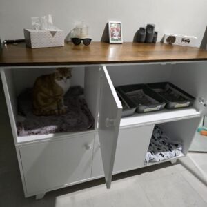 Cat Box