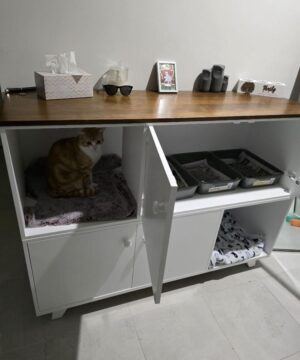 Cat Box